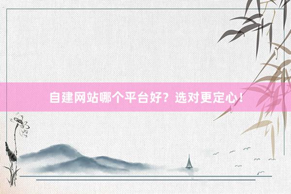 自建网站哪个平台好？选对更定心！
